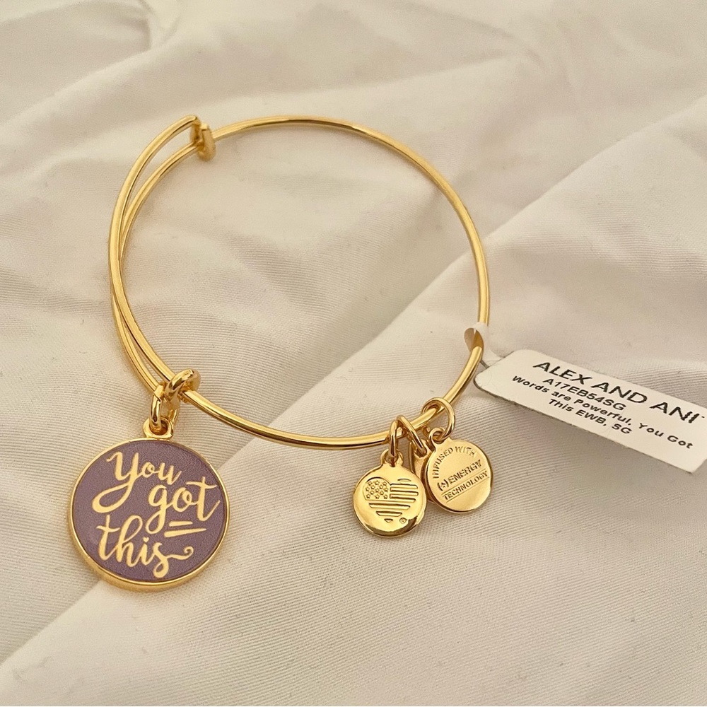 NWT Alex and Ani You Got This Bangle Bracelet